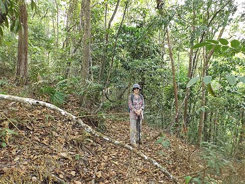 Selected Penang Walks - Balik Pulau Ridges