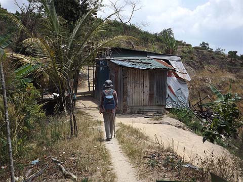 Selected Penang Walks - Balik Pulau Ridges