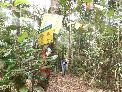 Penang Hills and Trails - Rimba Ridge Revisited