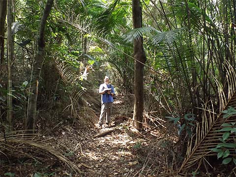 Penang Hills and Trails - Rimba Ridge Revisited